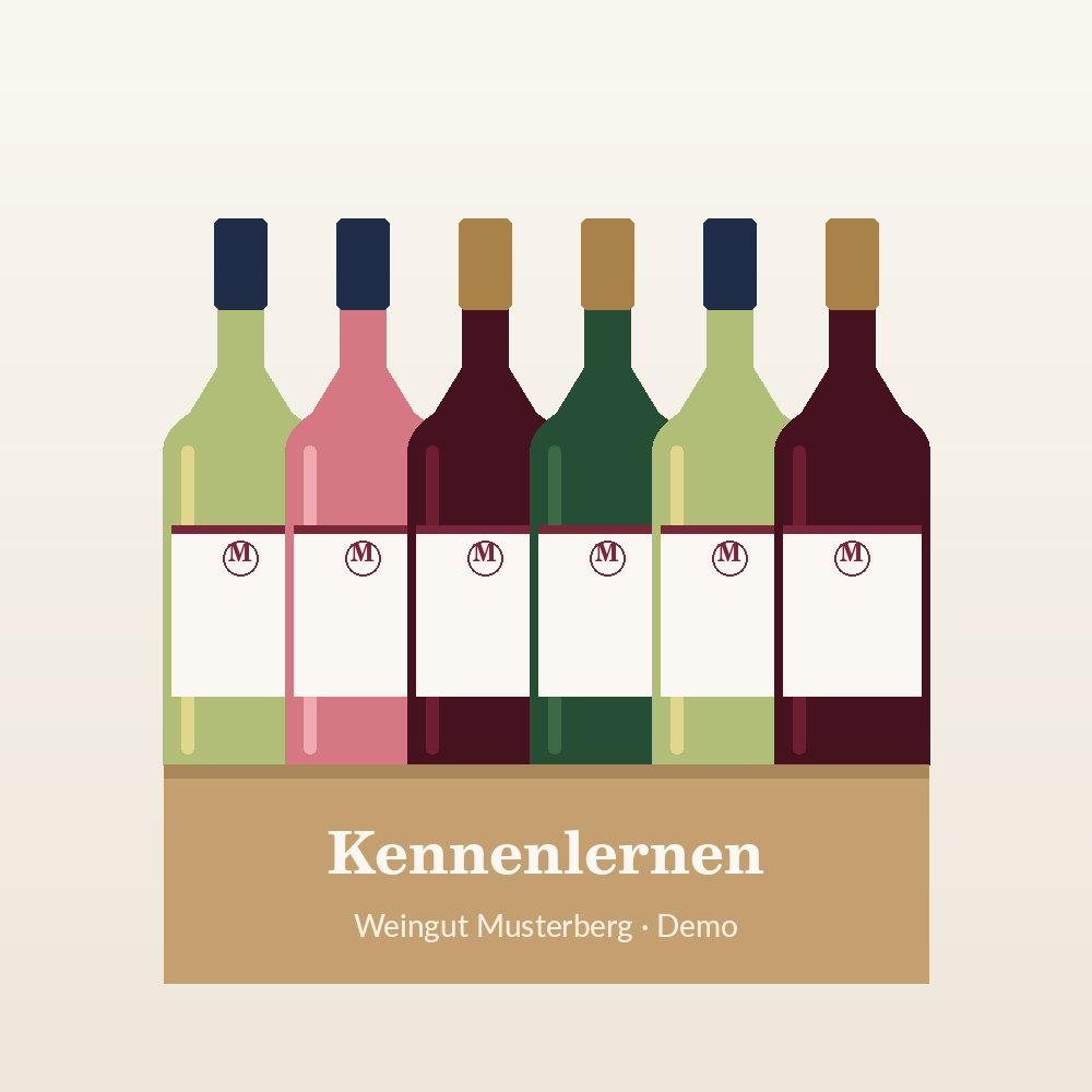 Kennenlernpaket gemischt (12 Flaschen)